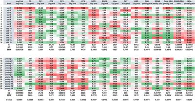 Versatile Functional Energy Metabolism Platform Working From Research to Patient: An Integrated View of Cell Bioenergetics